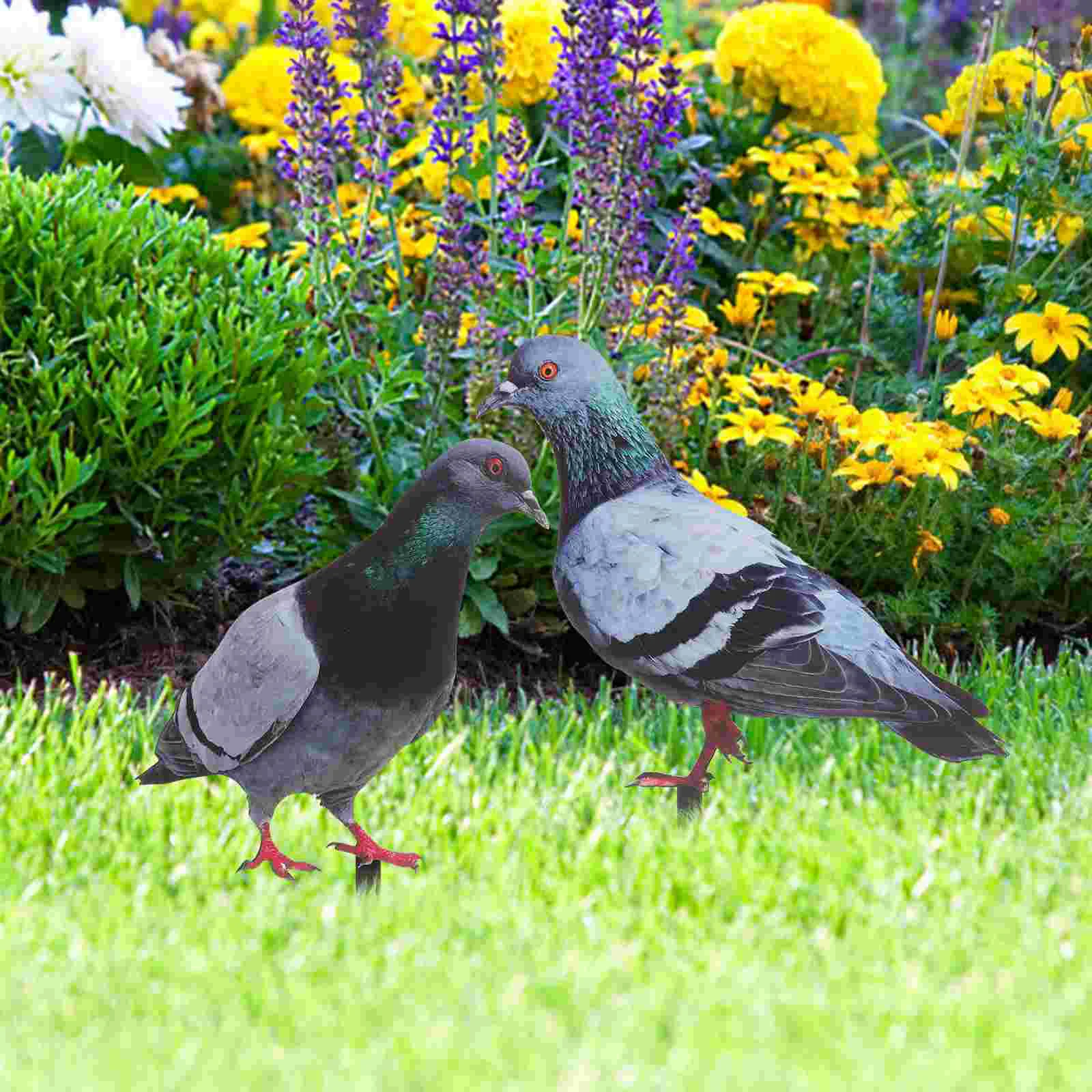 

2 Pcs Pigeon Garden Decoration Dove Stake Lawn Outdoor Adornment Acrylic Yard Sign Accessory