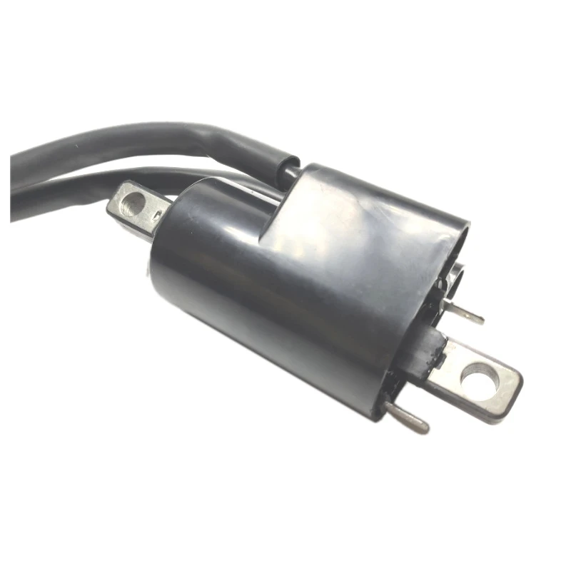 Ignition Coil GSX GTX SPX XP 787 800 For Sea Doo Seadoo JETSKI JET SKI JETBOAT JET BOAT 2780001130 278000383 image 5