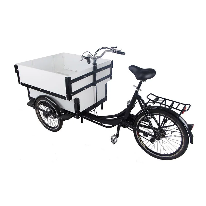 Trends Style Electric Mobile Cargo Bike White Color Motorized Tricycles for Adults Family Kids Children Scooter