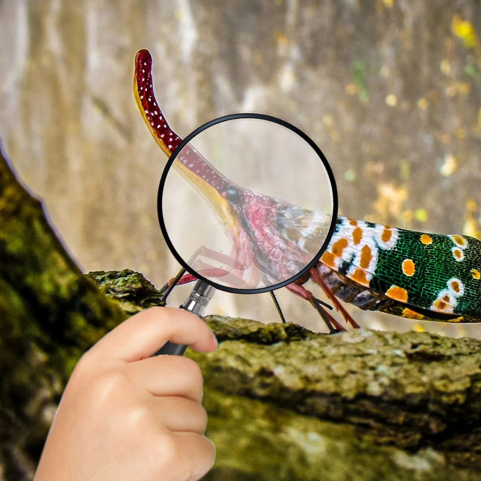 

10Pcs Double Convex Lens Premium Optical Glass Lens for Science Physics Classroom Demonstrations Magnifying Tool