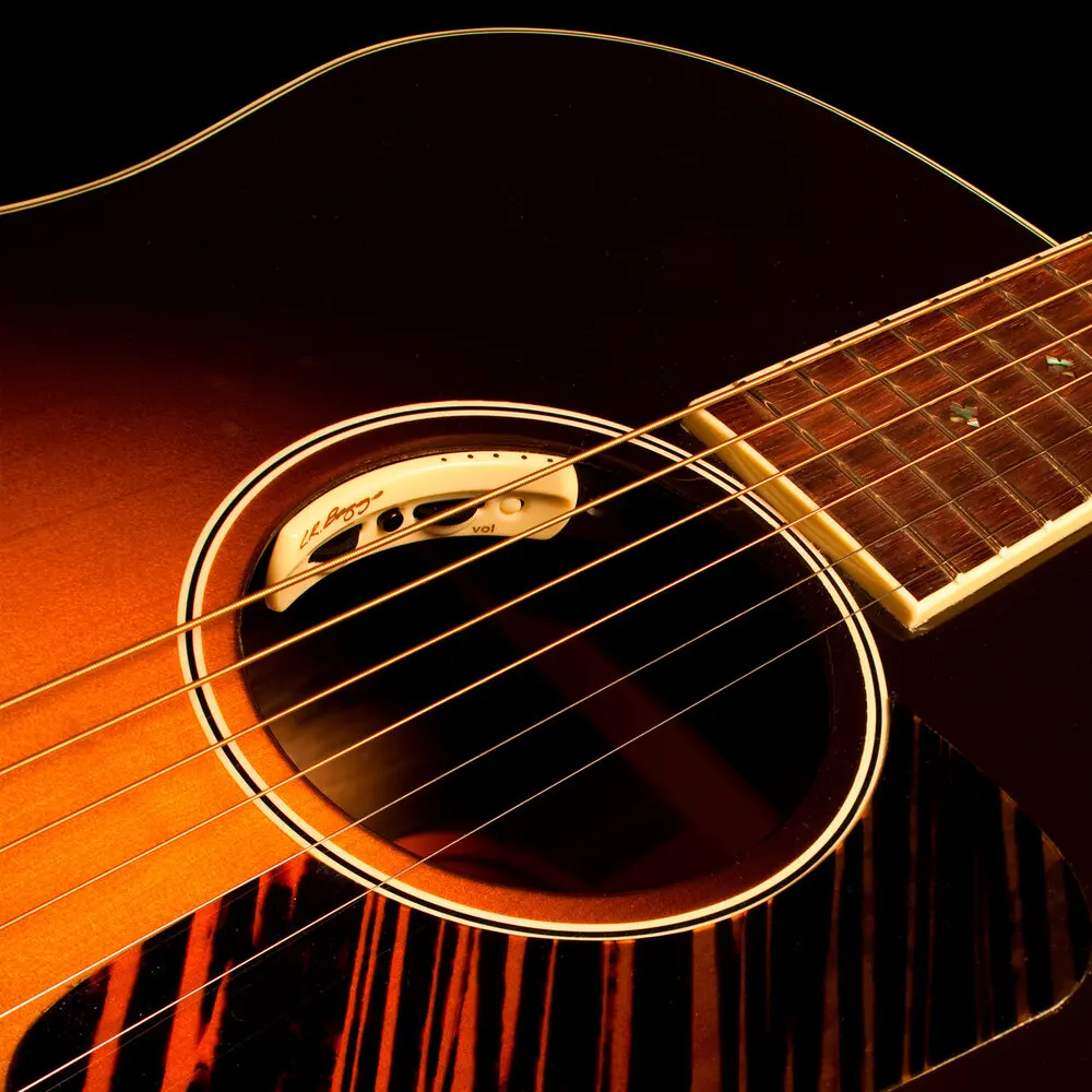 For The Purest Sound LR Baggs Anthem Acoustic Mic/Pickup + Microphone with Excellent Clarity