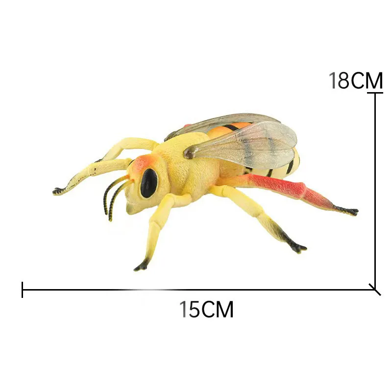 

Cultivate children to explore the mysteries of the insect world Simulation insect model teaching cognitive animal toys early edu