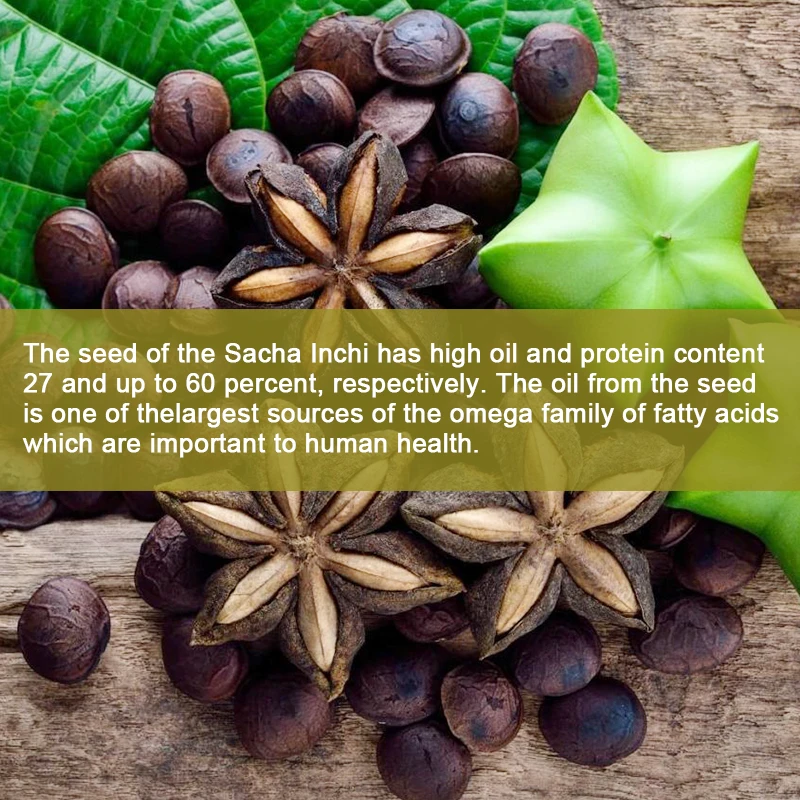 Sacha Inchi Oil Capsules, Rich Source of Omega 3, 6 and 9, Essential Fatty Acids, Healthier Essential Fatty Acids Source