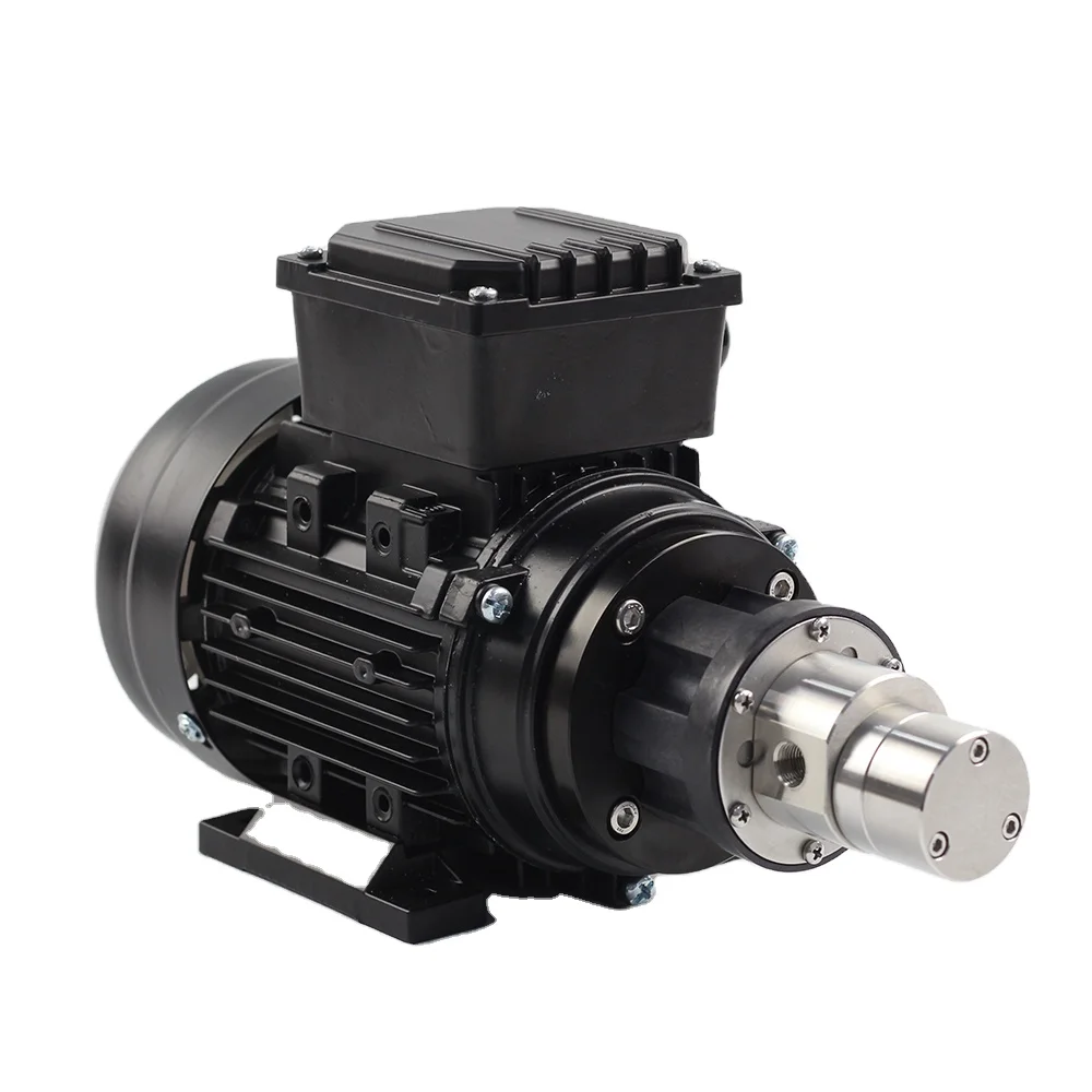 2025 Chinese Best Selling High Quality Cheap Gear Pump Adjustable Magnetic Gear Pump Ac Three Phase Magnetic Drive Pump