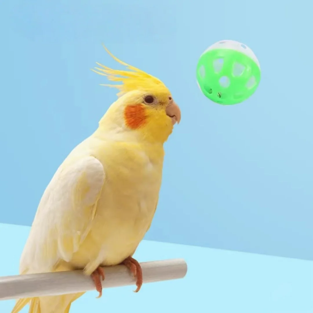 5 Stück Plastik-Spielbälle für Haustiere, Papageien und Katzen, Farbige Hohle Glockenbälle, Kauspielzeug für Vogelkäfige, Interaktives Spielzeug für Haustier-Vogelzubehör – Detail 6