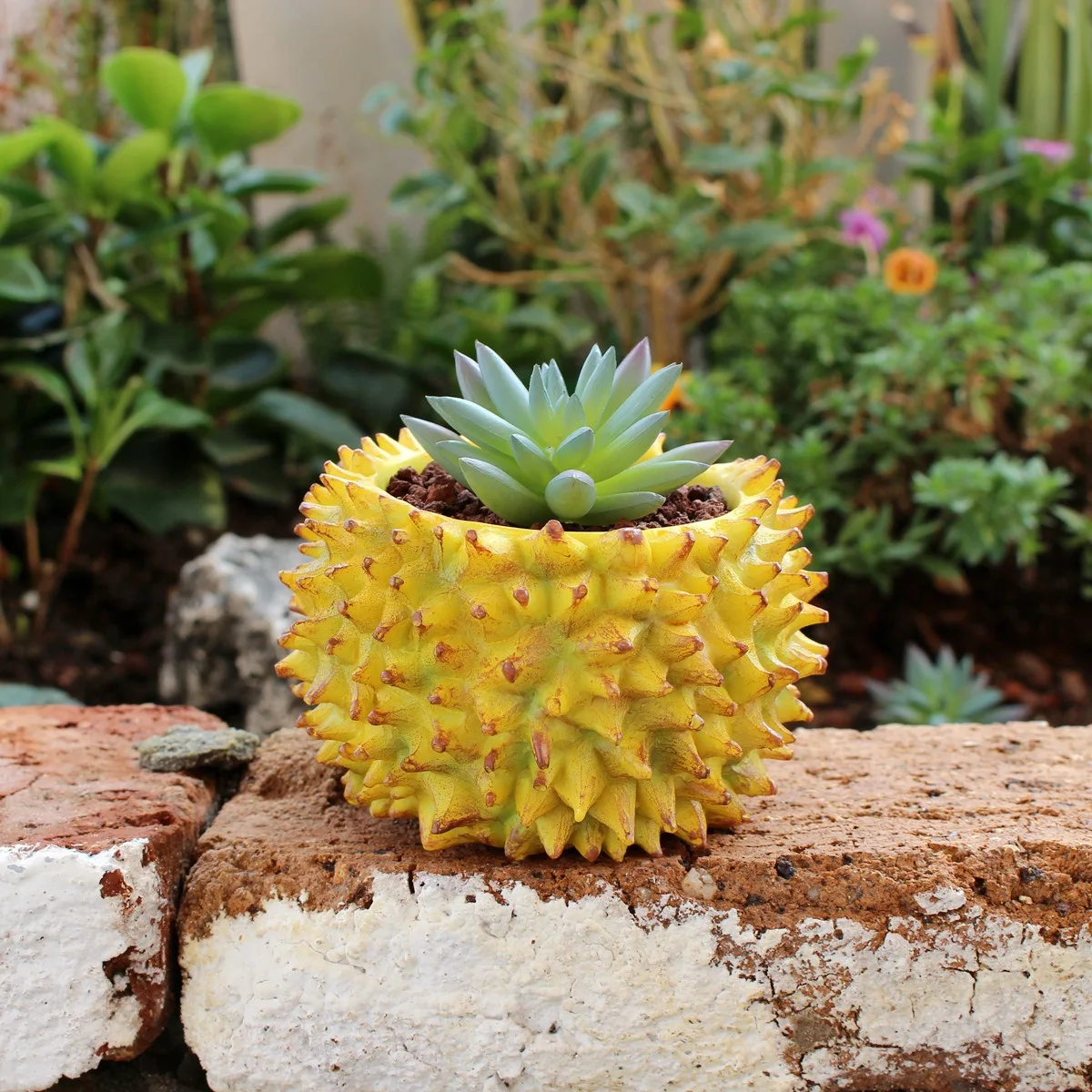 

Durian Shaped Flower Pot Succulent Plant Pot Resin Planter Desk Ornament Home Garden Decoration