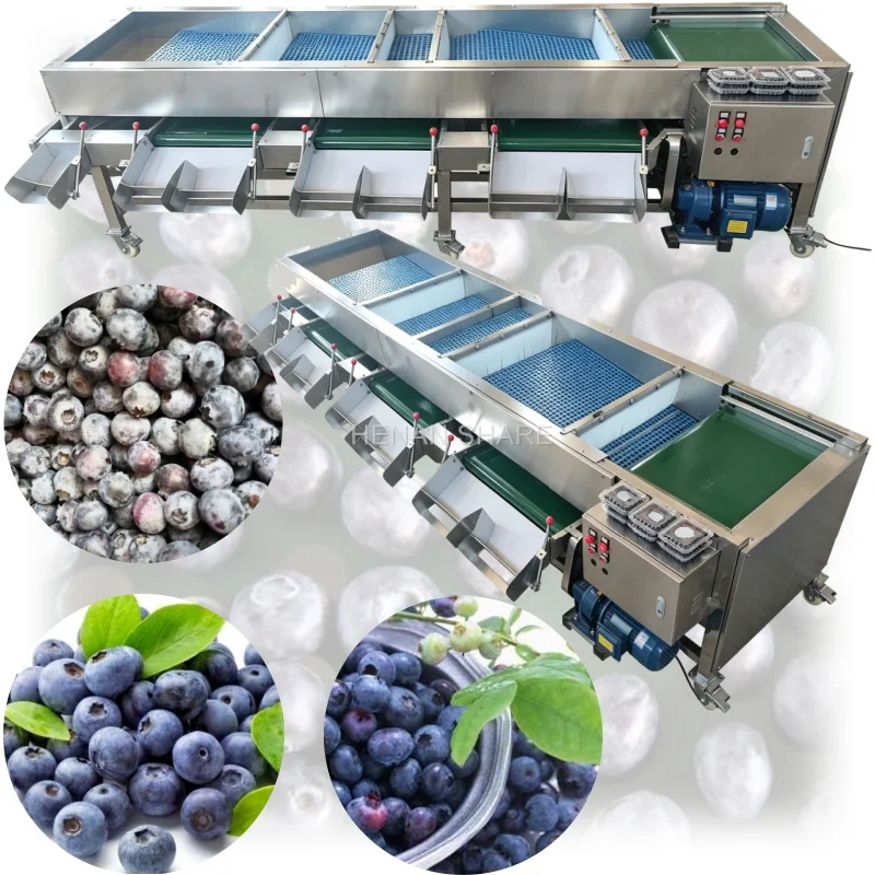 Automatic Grading Sorting Fruit Grading Machine Commercial Fruit and Vegetable Grading Machine for Factory Customized