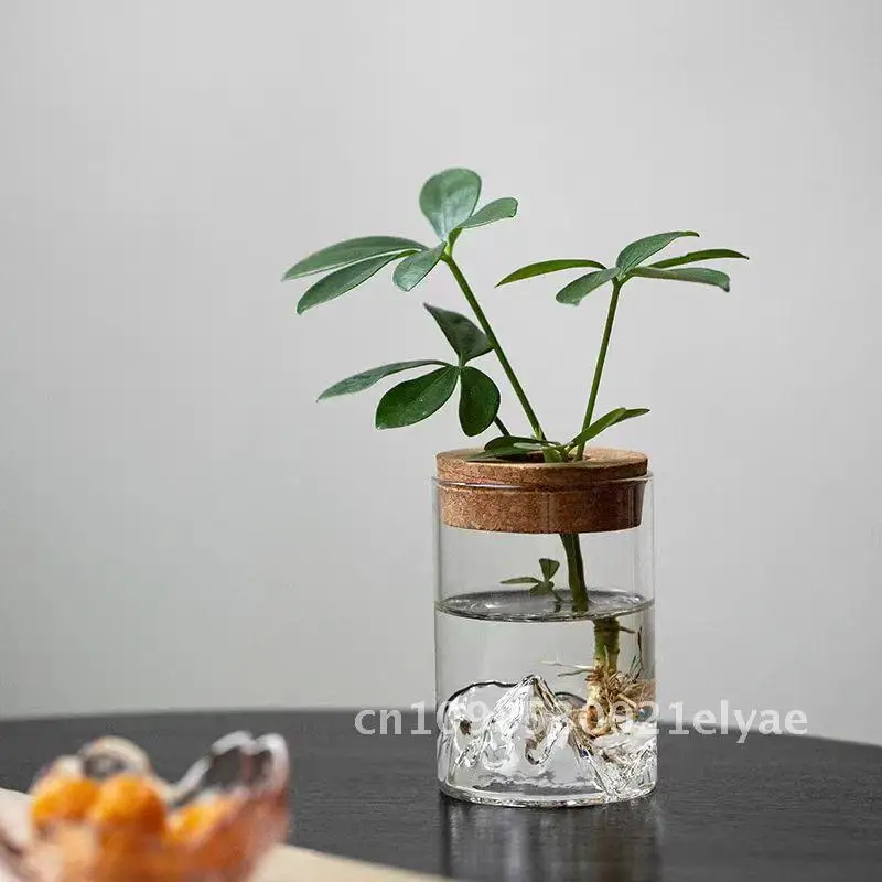 

Micro landscape ecological bottle hydroponic plant succulent vase indoor green plant bottle decoration glass flower pot