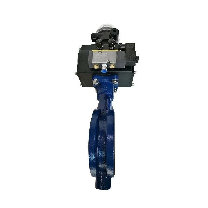 

Valve Valve F89U-020DA Pneumatic Actuator