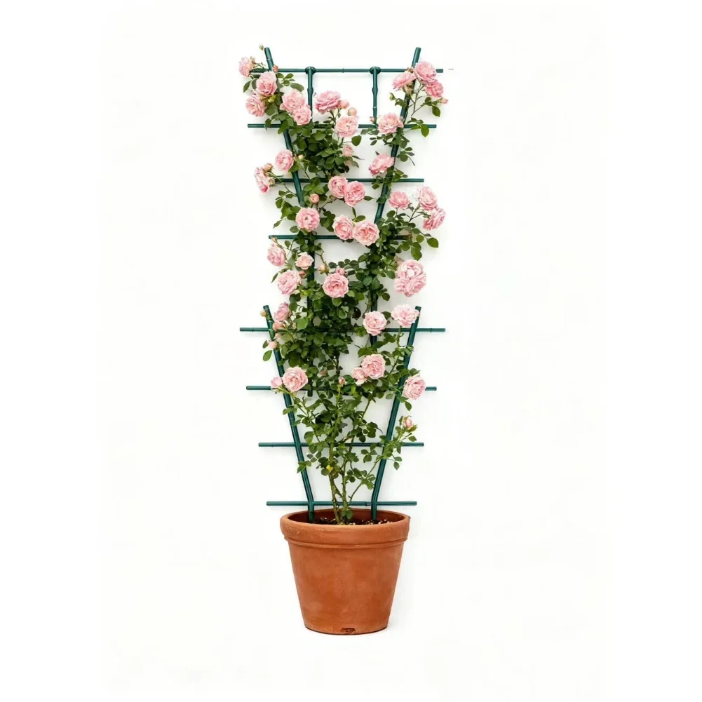 10Pcs Plant Climbing Frames Stackable Mini Plant Support Trellis Vine Support Houseplant For Climbing Plants Potted Stake