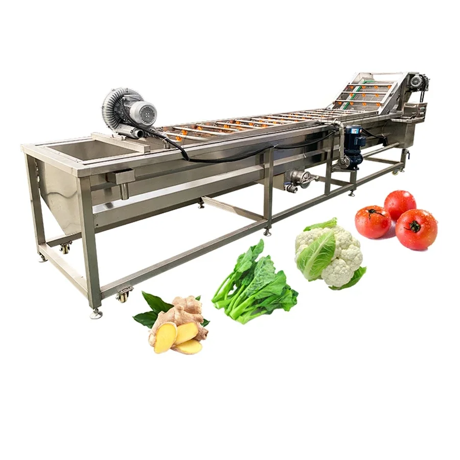 Farm Orchard Use 500kg/h Conveyor Belt Fruit Vegetable Bubble Washer Machine in Australia Market