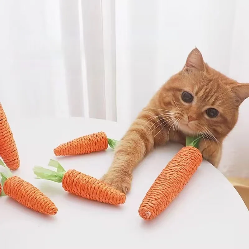 

Carrot Cat Toys Pet Toys Durable Paper Rope Woven Puppy Chew Toys for Cats Molar Cleaning Teeth Pet Supplies Cat Accessories