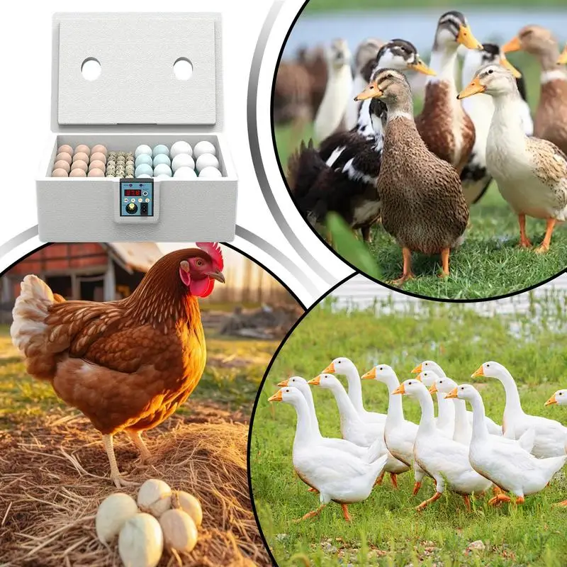 Chick Incubator 10-25 Duck Egg Incubator Automatic Turning Poultry Brooder Intelligent Coop Hatcher For Farm Laboratory