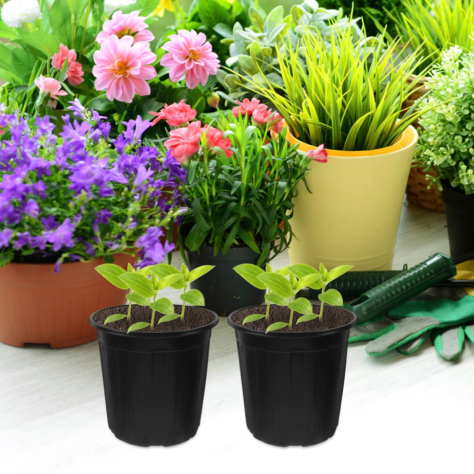 

10 Pcs Seedling Pot Flower Plant Container for Succulents Juicy Baskets Plants Nursery Pots Garden Supply Plastic Gallon