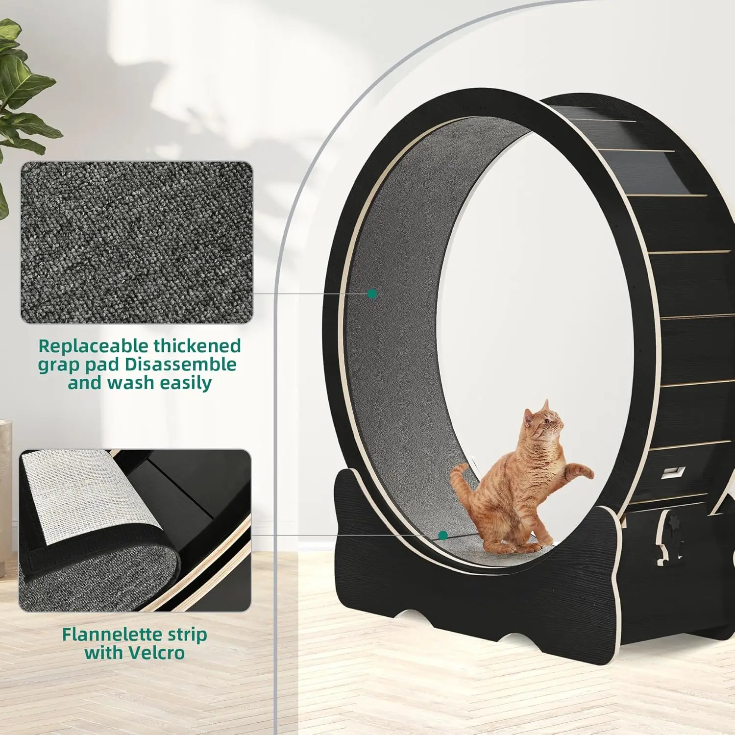 Grande roue d'exercice pour chat d'intérieur, tapis roulant pour chat avec sécurité, course silencieuse