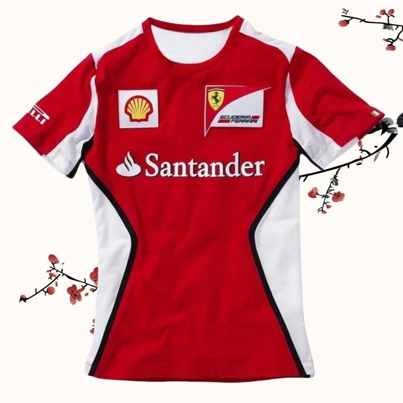 

New 2025 Men's Quick-drying F1 Racing Competition Short-sleeved Comfortable Casual Sports Breathable Locomotive T-shirt Moto