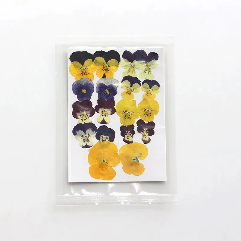 16-18 pieces/bag,nature viola cornuta petals,pressed flower DIY dry flower face stickers petal makeup adhesive jewelry bookmarks