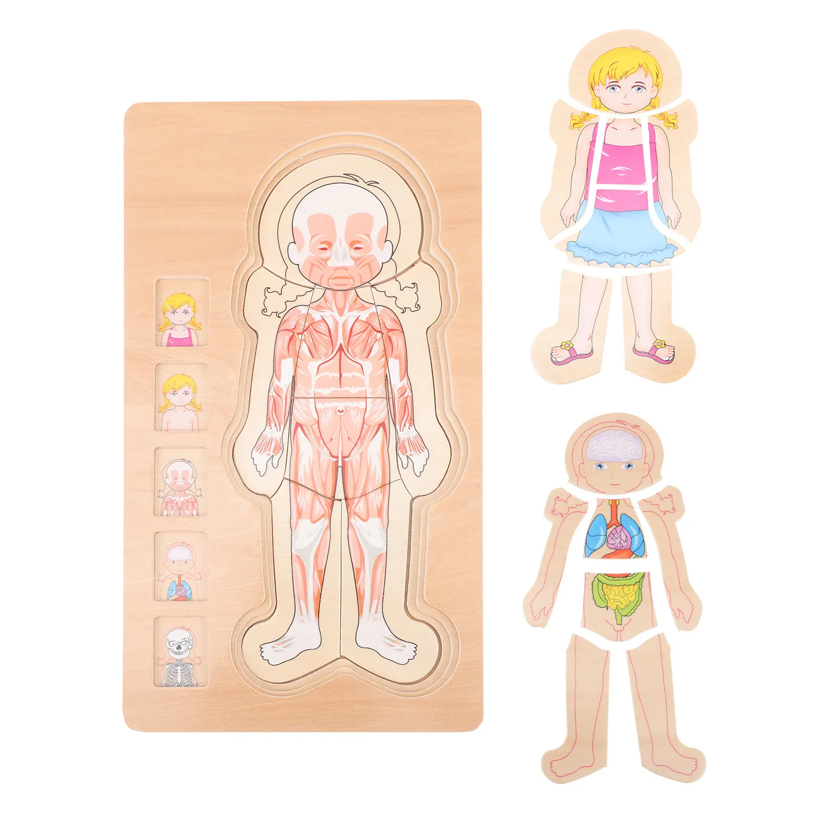 

Childrens Human Body Puzzle Children's Early Education Toys Brain Bolt Game Jigsaw Kids Building Games