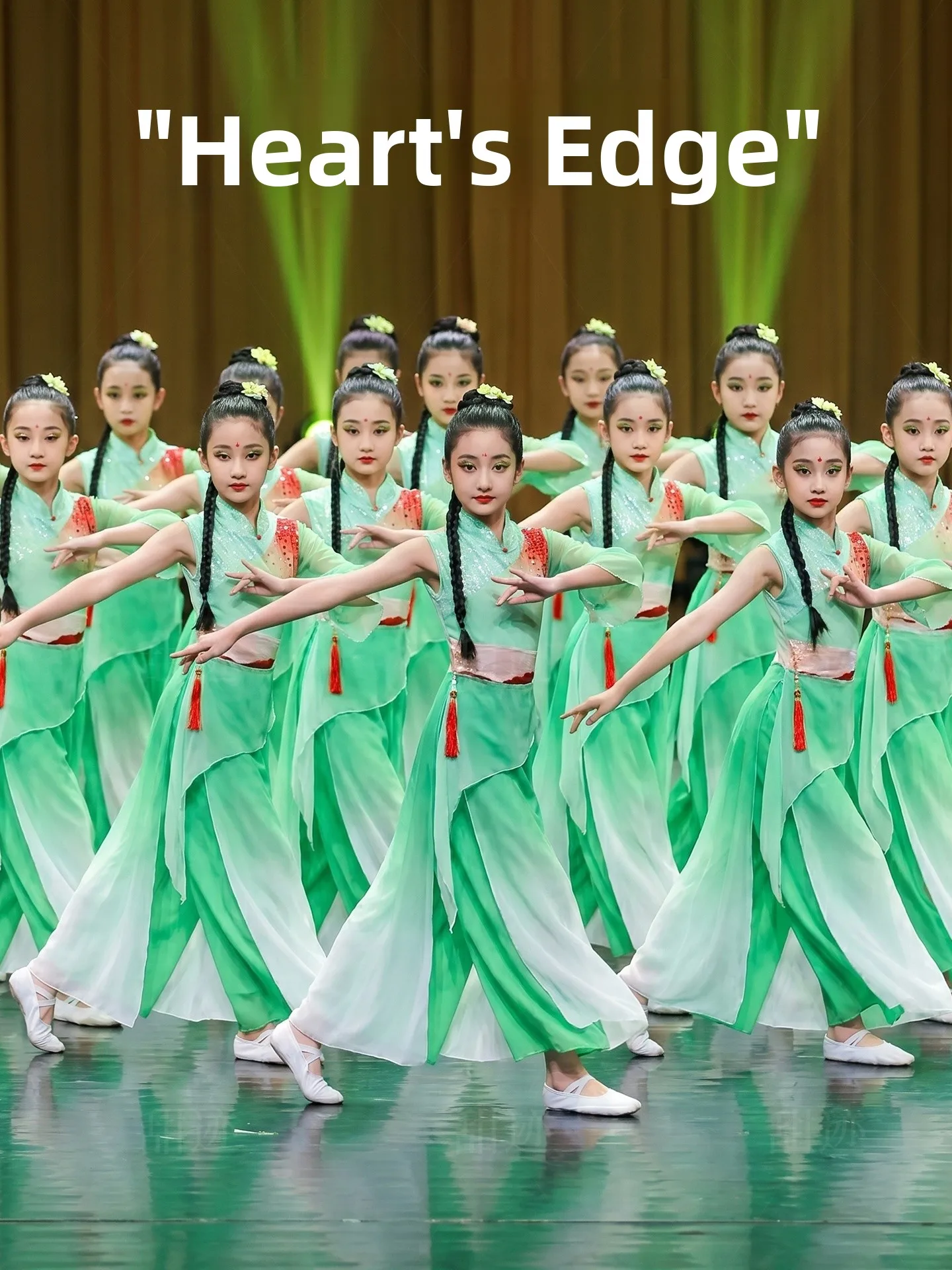 

Classical Dance Performance Costume Children's Folk Dance Leaf Shape Girls' Traditional Ethnic Stage Outfit Heart's Peak Prod...