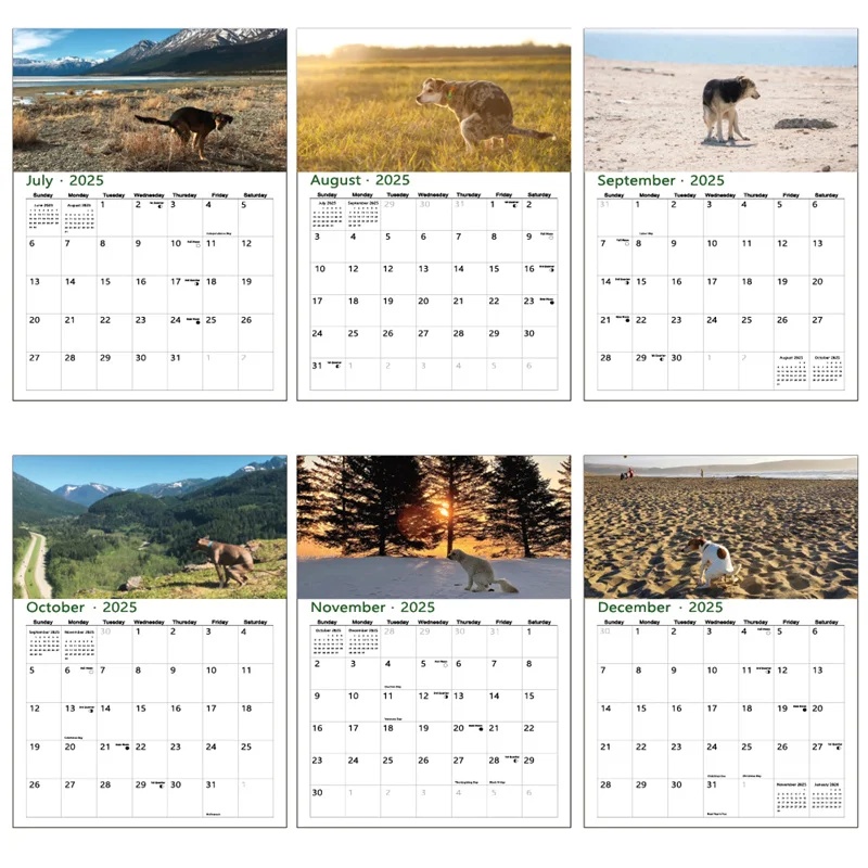 1 Pcs Funny Dogs Pooping Wall Calendar 2025 Unique Calendar Gift for Friends Family Neighbors Coworkers Relatives Loved Ones