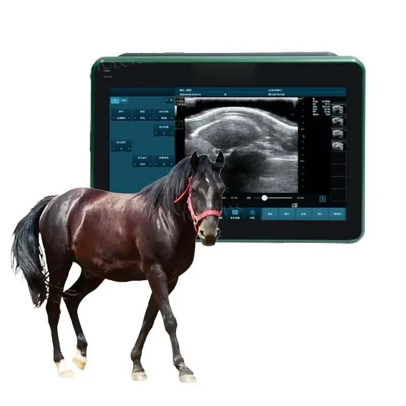 LHWDZ20 Farm Use Multiple Probes Machine Vet for Horse