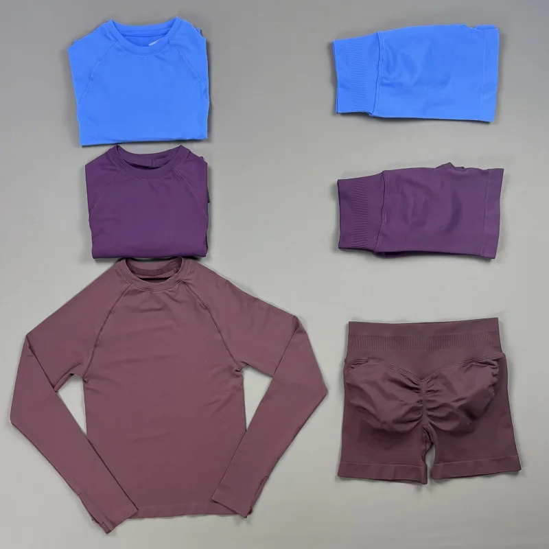 2 Piece Gym Set Women Raglan Long Sleeve Crew Neck Top Scrunch Butt Biker Shorts Stretch Soft Solid Yoga Pilates Athletic Outfit