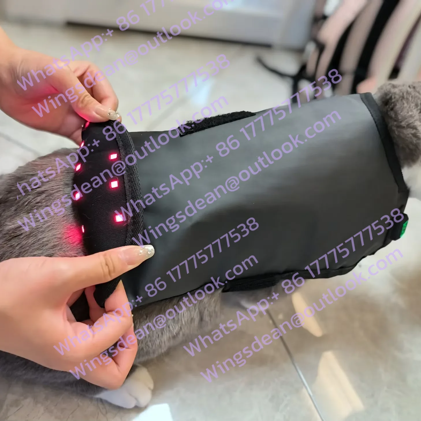 Home Use Red Light Led Therapy Device for Pets Body Leg Pain Relief Wound Healing Physiotherapy Belt