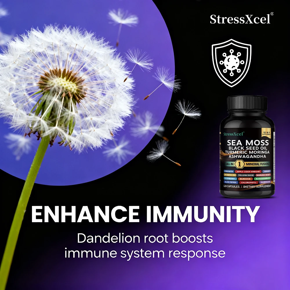 كبسولات الزنجبيل لزيت البذور السوداء من طحالب البحر، تعزز المناعة والطاقة، تخفيف التوتر، وتحسين الإمساك