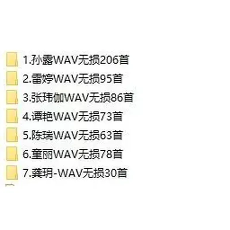 Test Machine Fever Music Car USB Stick Audition Female Voice Sun Lu Tongli Lei Ting Zhang Weijia Lossless WAV USB Stick