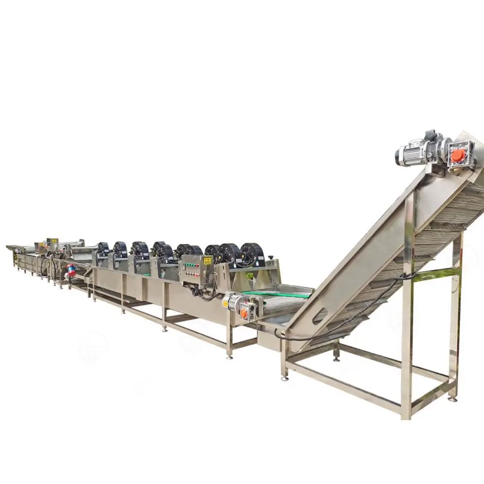 Multifunctional Green Leafy Vegetable Cutting Washing And Packaging Machine Production Line