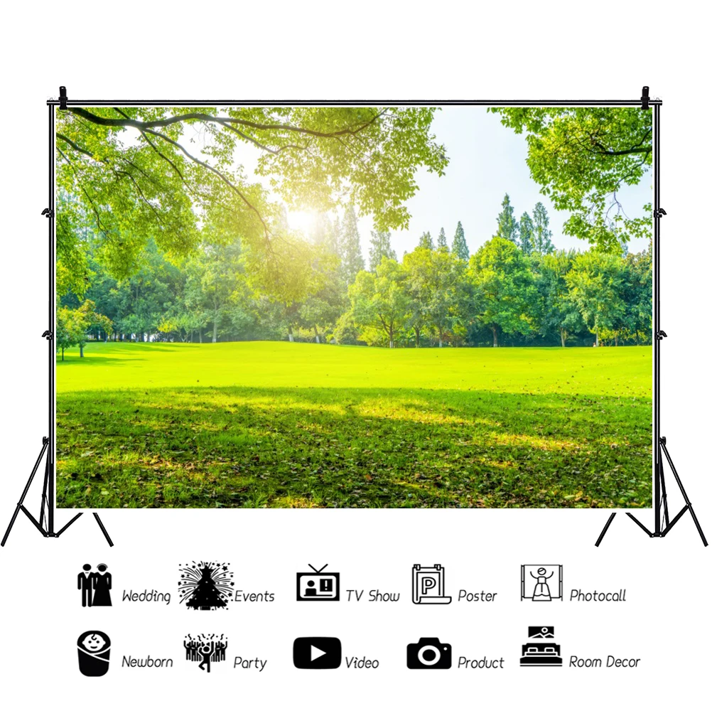 Laeacco-写真の背景,春の写真,屋内用,緑のグラス,写真の背景