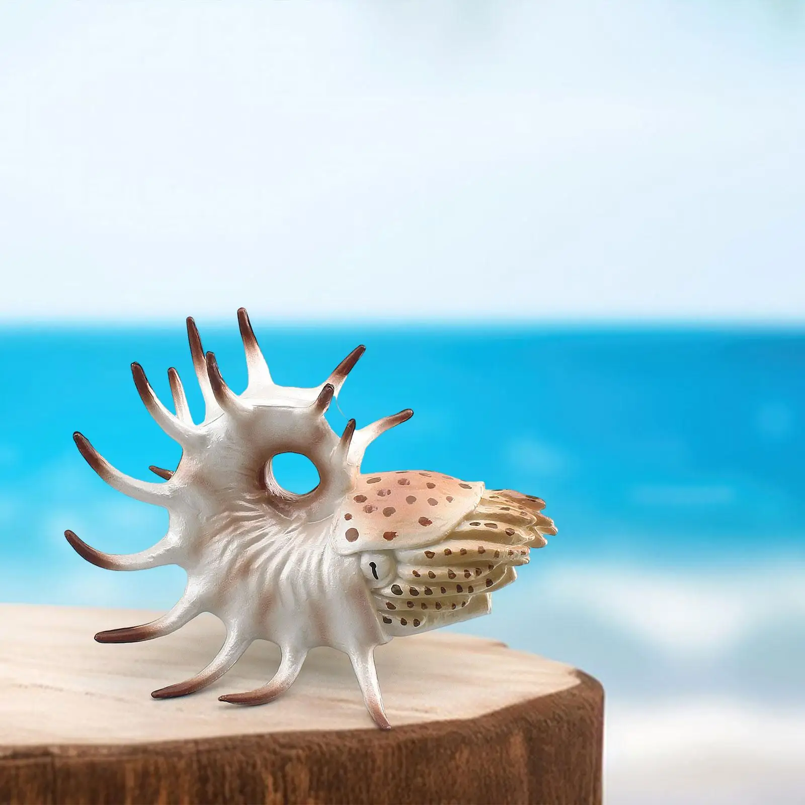 

Sea Animal Figure Nautilus Model Cognitive Toy Teaching Prop Education Ornament Home Decoration for Teens Girls Boy