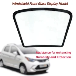 Car Front Glass Display Model Automotive Tempered Glass Windshield Show Model Explosion-Proof/Solar Film Coating Test Model