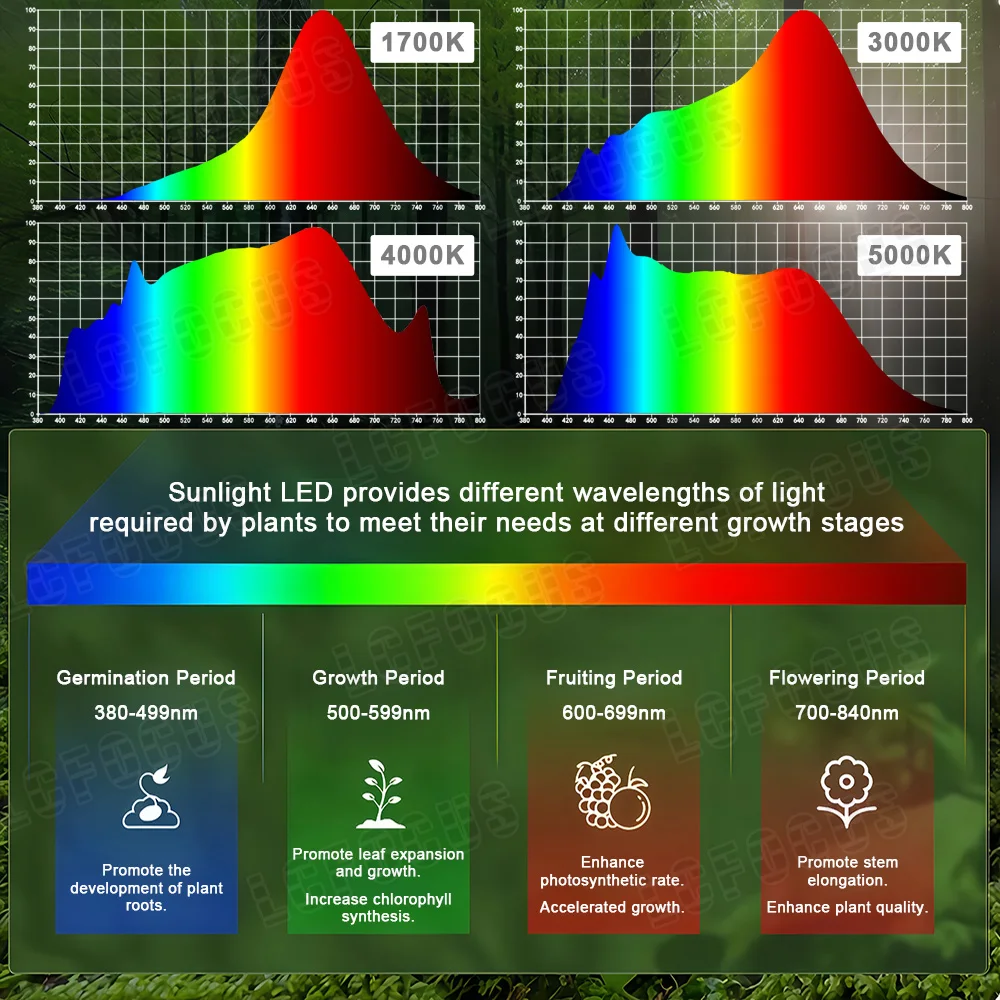 1W 3W 5W 10W 20W 30W 50W 100W 성장 LED 성장 칩 전체 스펙트럼 햇빛 380-840nm 관엽 식물 야채 꽃 과일 수족관 아트 갤러리 전시장