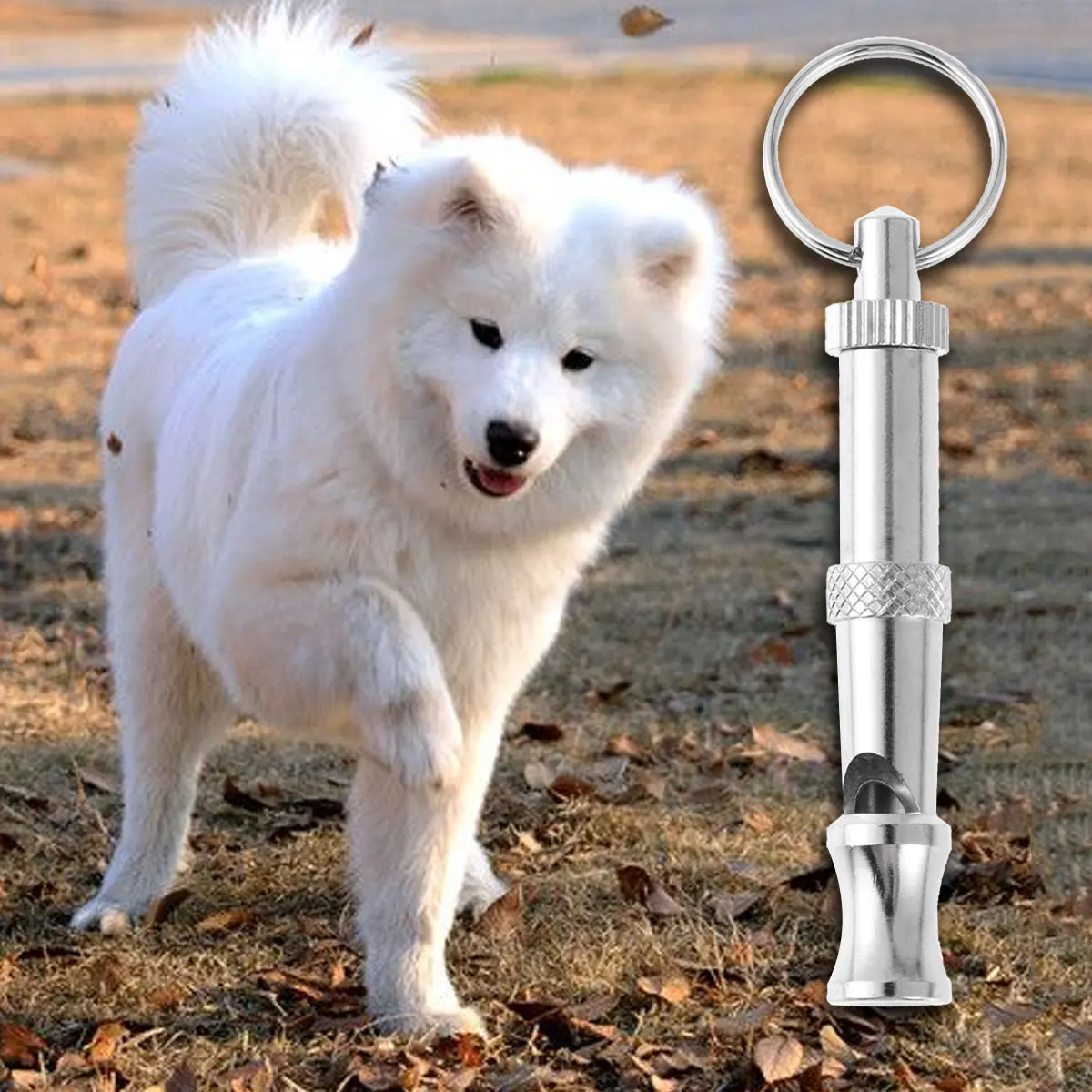 

Dog Whistle Copper Plated Ultrasonic Loud Clear Blow Training Accessory for Pet Portable Use Dog Whistle