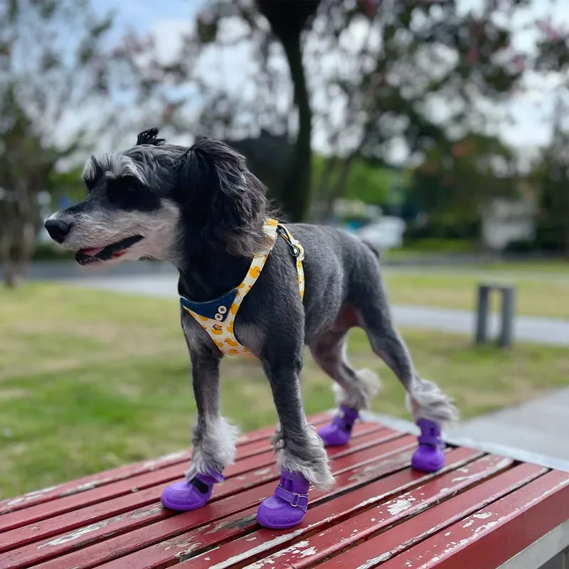 New Arrival Pet Rain Boots Small Dog Shoes Chihuahua Yorkshire Terrier Schnauzer Puppy Shoes Dogs Accessories  Zapatos Perro