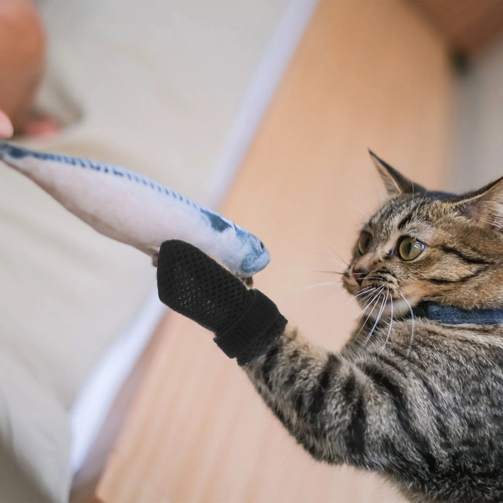 

4Pcs Protective Booties Pet Paw Covers Soft Warm Socks for Cats Small Dogs Bathing Grooming Anti Scratch Dog Shoes