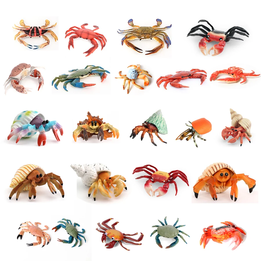 Animais do oceano realistas, caranguejo eremita, caranguejo de coco, fiddler, modelo de vida marinha, figuras de ação, criaturas do mar, brinquedos para decoração de casa