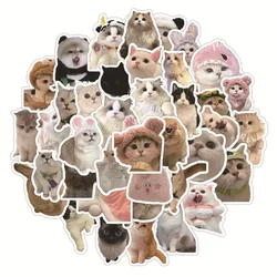 60 Sheet Kawaii Cat Sticker Real Shot Lovely Kitten Sticker DIY Stationery Decorative Scrapbook Phone Sticker Student Supplies