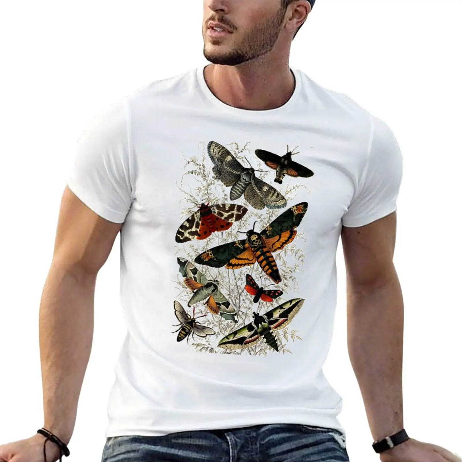 Victorian Moth Insects illustration T-Shirt Plus Size Non-Shrink T-Shirt