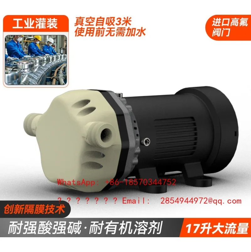 Acid Alkali Resistant Self-Priming Diaphragm Pump Chemical Filling Pump