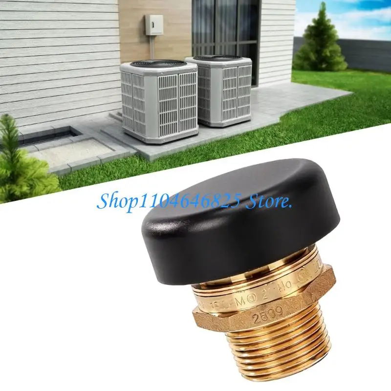 3/4Inch Male Threaded Vacuum Breaker Valves Pipe Fittings Vacuum Relief Valves For Home And Commercial Use