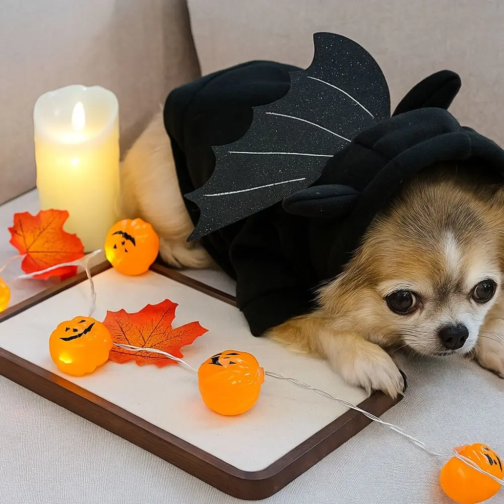 

Pet Supplies Casual Halloween Pet Clothes Warm Soft Dog Bat Hoodie Fashion with Wings Dog Sweater Pet Show