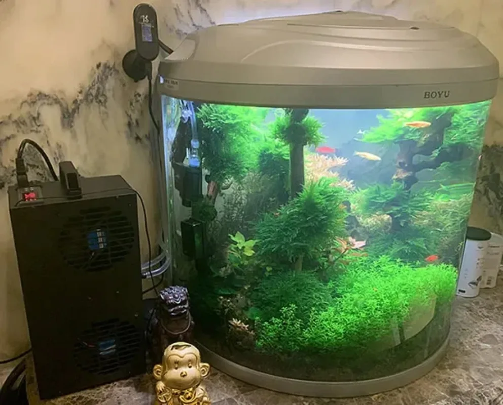 

Полупроводниковый холодильник с регулируемой постоянной температурой, небольшой охладитель 100 л/150 л, аквариумный циркуляционный охладитель WateR