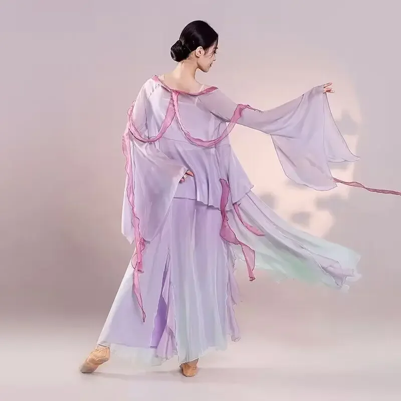 Classical dancer performance costumes elegant cardigan practice clothes body rhyme long outer gauze Chinese style folk dance