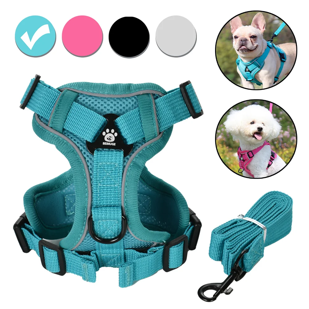 #50 Latest Puppy Harnesses Updates