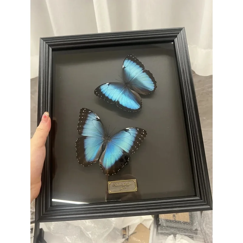 Morpho Peleides Butterfly Framed Wall Decor Male&Female Blue Morpho Desktop Ornament Home Decoration Birthday Valentine