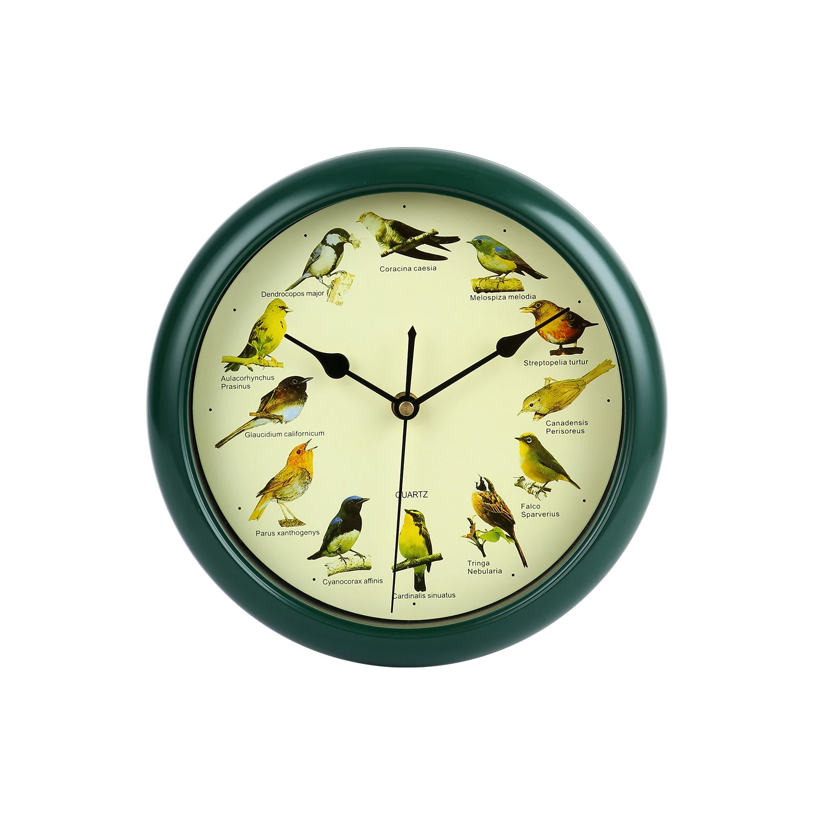 Wall Hanging Clock Decor Singing Bird Wall Clock Bird Clock With Sound Hanging Clock Decor for Kitchen Walls Shelf Decoration