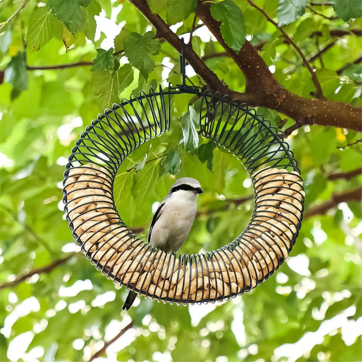 BAAU Peanut Wreath Bird Feeder 16 Inch, Rust & Waterproof Solid Steel DurableWhole Peanut Wild Bird Feeder with Hanging Hook