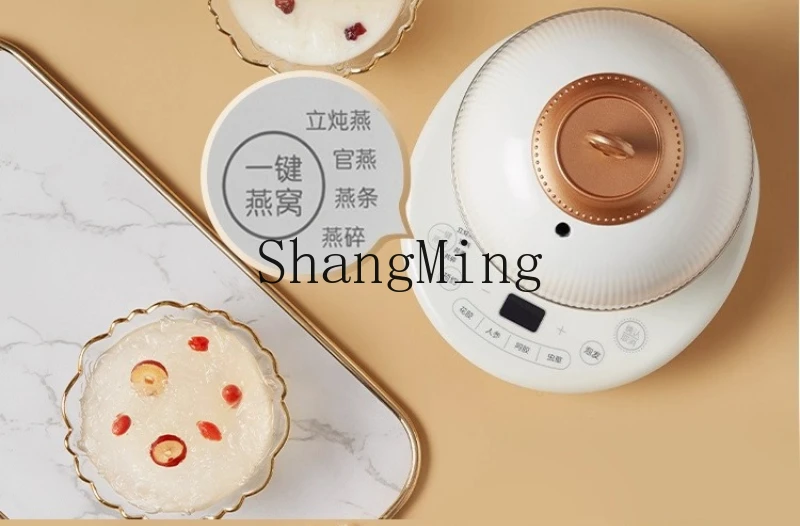 ZYY الحساء المقاوم للماء المنزلية وعاء الحساء الكهربائي التلقائي حساء السيراميك الصغيرة آلة الطبخ متعددة الوظائف